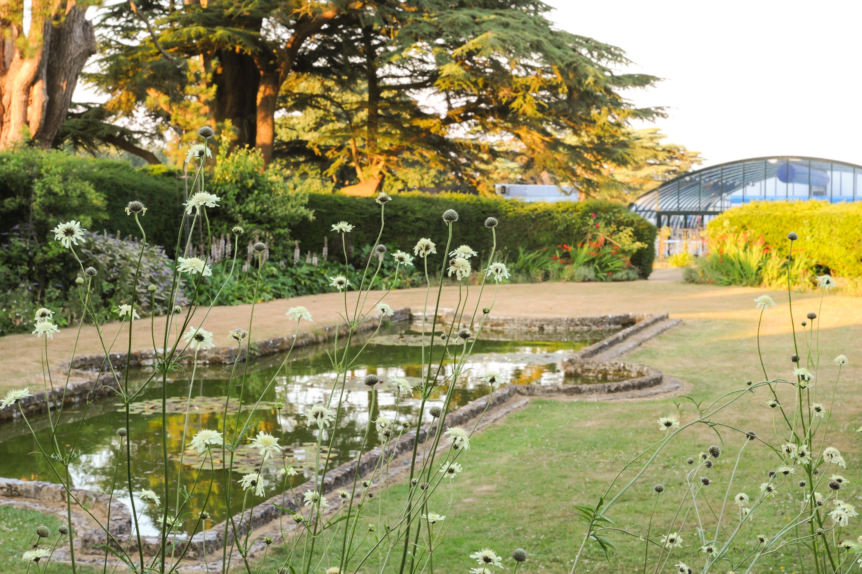 2_Grounds_Leweston_July2018 ┬⌐JayArmstrong