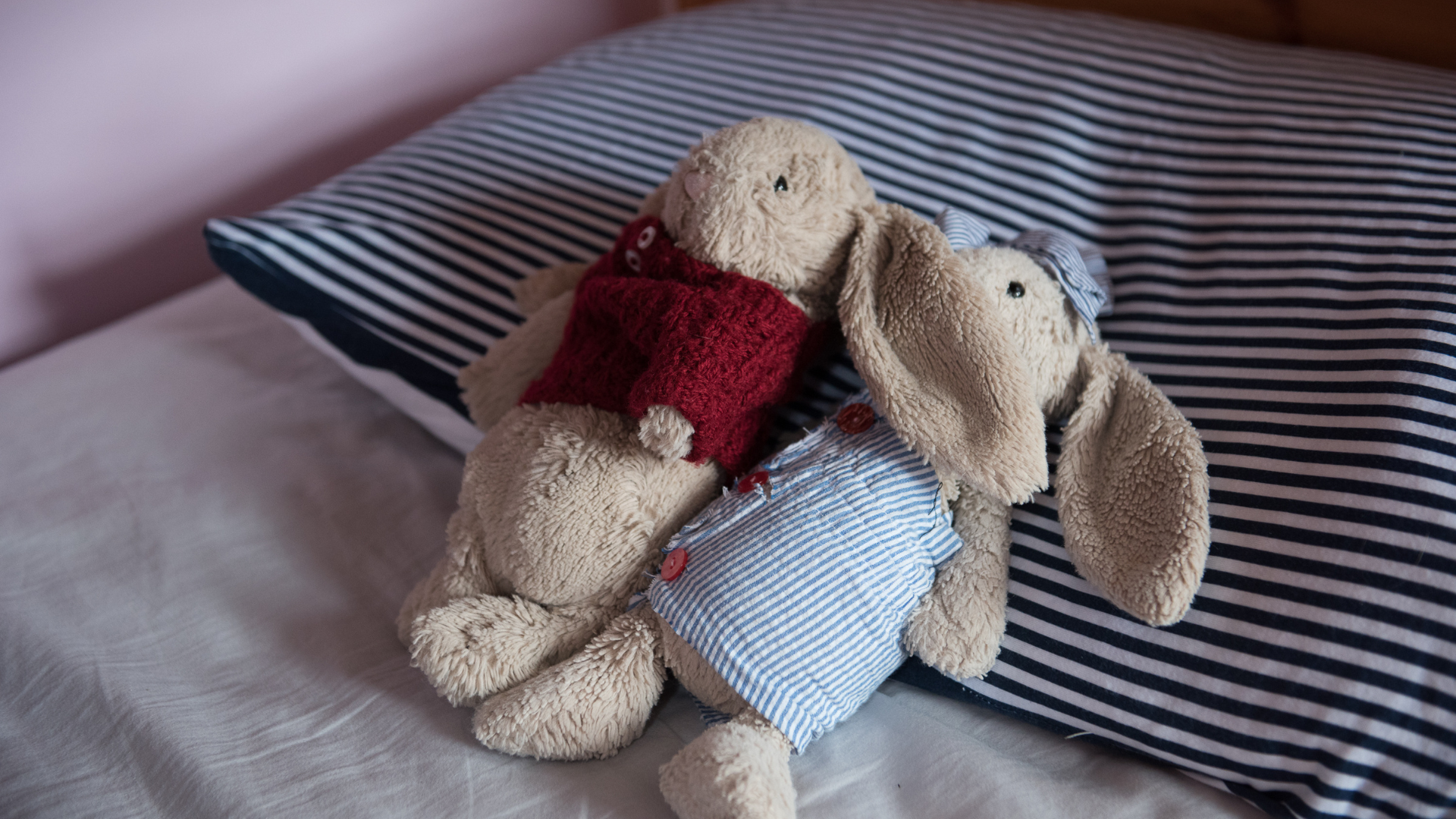 Canva Design DAFzB1920Mo