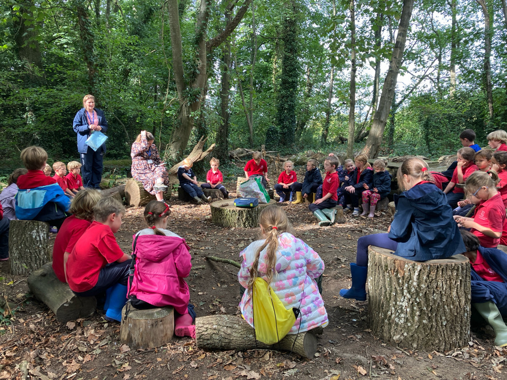 m_o_674968_wshsh164gm2rtjcf0fann73hq16gad3f